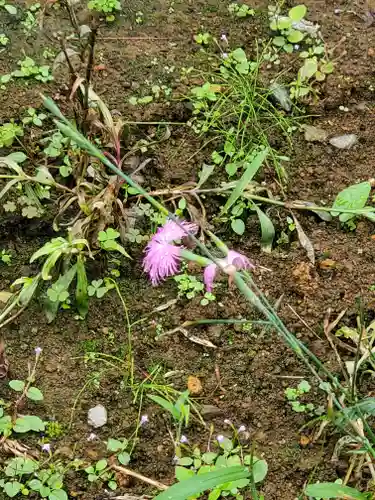 不動寺(埼玉県)