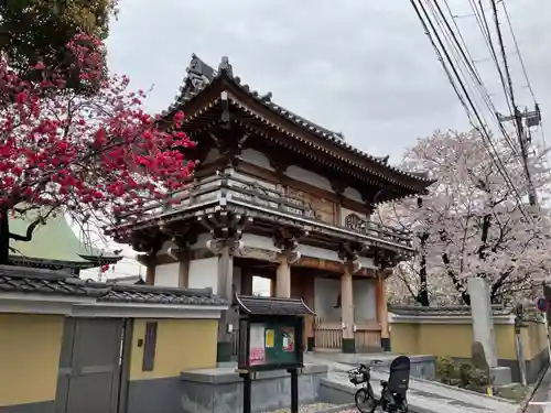能満寺の山門・神門