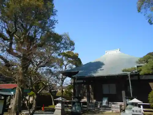 光触寺の本殿・本堂