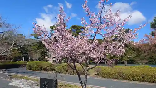 桜ヶ池池宮神社(静岡県)