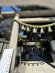 川越氷川神社(埼玉県)