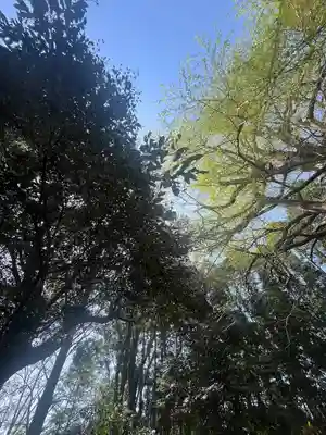 國吉神社(千葉県)