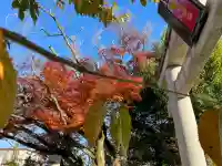 車折神社の{uncategorized: "未分類", other: "その他", undefined: "問題あり", building: "その他建物", grave: "お墓", sacred_gate: "鳥居", guardian: "狛犬", statue: "像", buddha: "仏像", history: "歴史", nature: "自然", garden: "庭園", animal: "動物", pagoda: "塔", temizu: "手水舎", mountain_gate: "山門・神門", sanctuary: "本殿・本堂", subordinate: "末社・摂社", art: "芸術", scenery: "景色", jizo: "地蔵", ema: "絵馬", goshuin: "御朱印", omikuji: "おみくじ", items: "授与品その他", amulet: "お守り", goshuincho: "御朱印帳", eats: "食事", festival: "お祭り", votive_dance: "神楽", shichigosan: "七五三参", wedding: "結婚式", experience: "体験その他", initially: "初詣", around: "周辺", anti_infection: "感染症対策"}