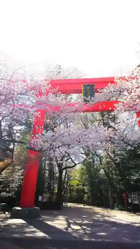 冠稲荷神社の鳥居