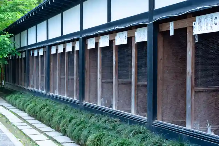 彌彦神社(新潟県)
