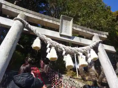素盞嗚神社の鳥居