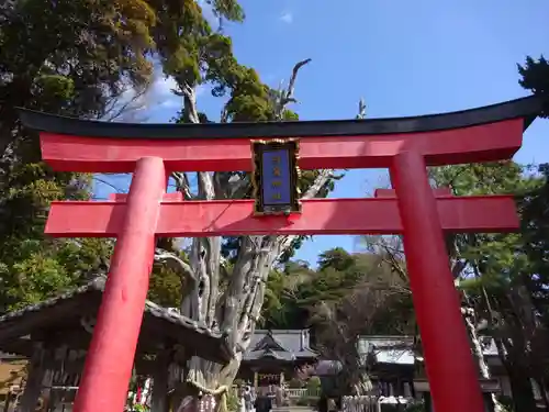 伊古奈比咩命神社の鳥居