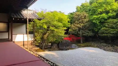 圓徳院(京都府)