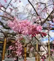 大國魂神社(東京都)