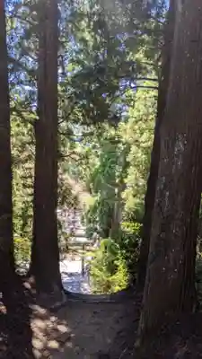 杉本神明神社の自然