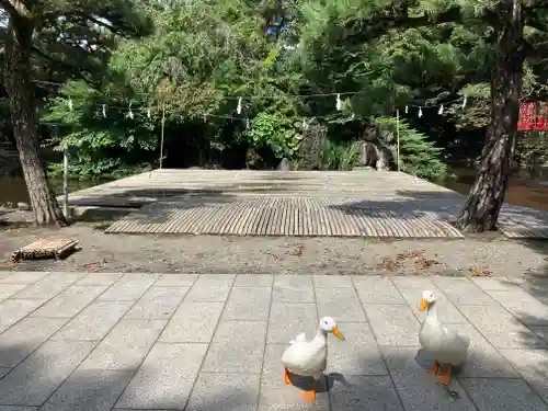 平塚八幡宮(神奈川県)