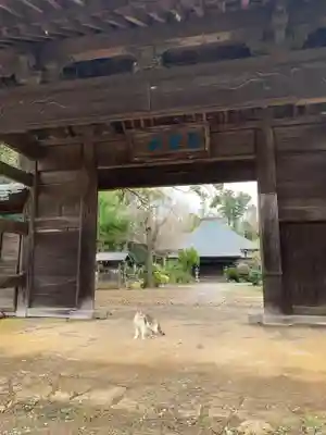 円天寺(千葉県)