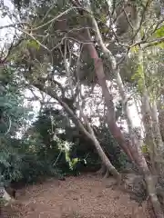 神社(名称不明)(茨城県)