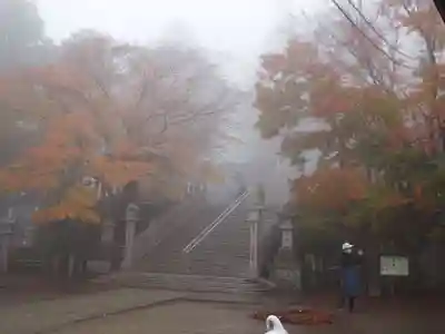 大山阿夫利神社のその他建物