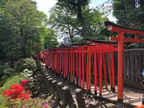根津神社の鳥居