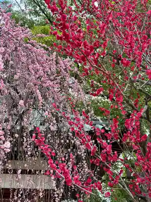 屯倉神社(大阪府)