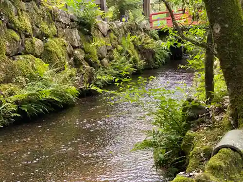 賀茂別雷神社（上賀茂神社）の周辺