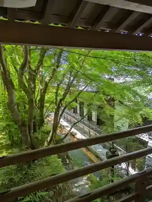 禅林寺(永観堂)(京都府)