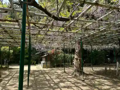 住吉神社(兵庫県)