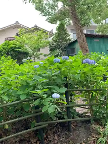 藤森神社の庭園