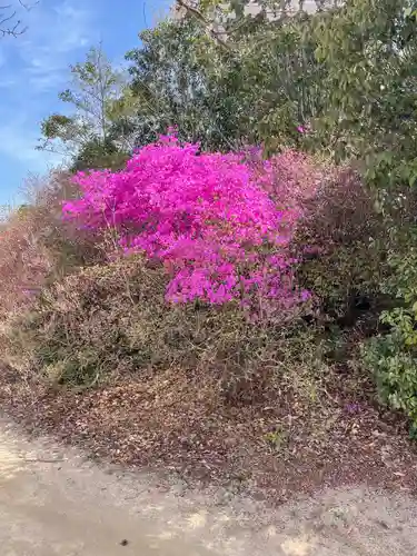 貴船神社の自然