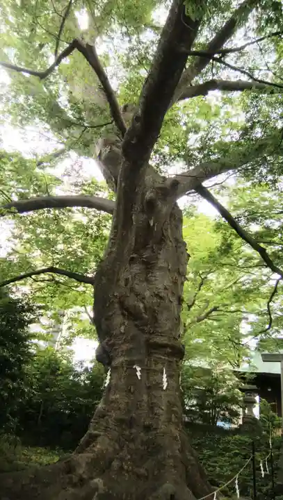 愛宕神社(福島県)