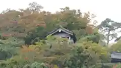 宝珠山 立石寺の建物その他