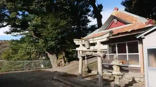 山神社（戸田）の本殿