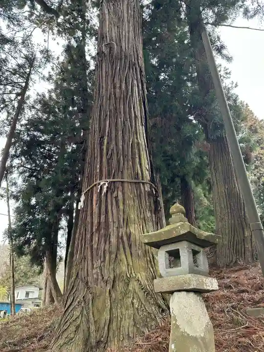 七二会守田神社の{uncategorized: "未分類", other: "その他", undefined: "問題あり", building: "その他建物", grave: "お墓", sacred_gate: "鳥居", guardian: "狛犬", statue: "像", buddha: "仏像", history: "歴史", nature: "自然", garden: "庭園", animal: "動物", pagoda: "塔", temizu: "手水舎", mountain_gate: "山門・神門", sanctuary: "本殿・本堂", subordinate: "末社・摂社", art: "芸術", scenery: "景色", jizo: "地蔵", ema: "絵馬", goshuin: "御朱印", omikuji: "おみくじ", items: "授与品その他", amulet: "お守り", goshuincho: "御朱印帳", eats: "食事", festival: "お祭り", votive_dance: "神楽", shichigosan: "七五三参", wedding: "結婚式", experience: "体験その他", initially: "初詣", around: "周辺", anti_infection: "感染症対策"}