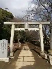 氷川神社(埼玉県)