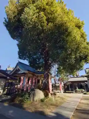 若宮神社(東京都)