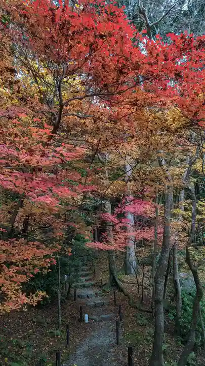 醍醐寺(京都府)