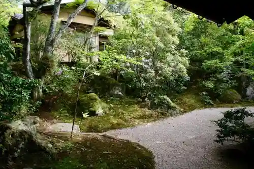 山陽花の寺二十四か寺のサムネイル