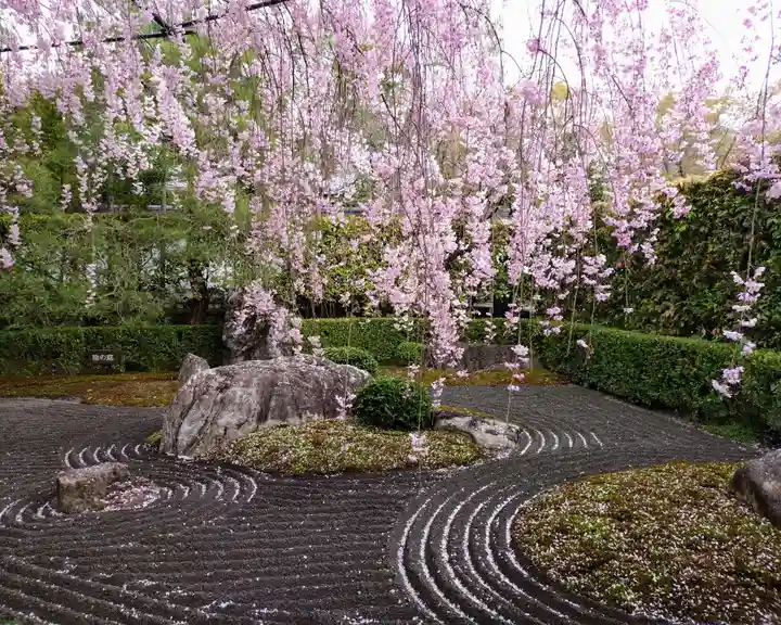 退蔵院(京都府)