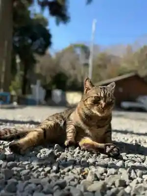 上岩出神社の{uncategorized: "未分類", other: "その他", undefined: "問題あり", building: "その他建物", grave: "お墓", sacred_gate: "鳥居", guardian: "狛犬", statue: "像", buddha: "仏像", history: "歴史", nature: "自然", garden: "庭園", animal: "動物", pagoda: "塔", temizu: "手水舎", mountain_gate: "山門・神門", sanctuary: "本殿・本堂", subordinate: "末社・摂社", art: "芸術", scenery: "景色", jizo: "地蔵", ema: "絵馬", goshuin: "御朱印", omikuji: "おみくじ", items: "授与品その他", amulet: "お守り", goshuincho: "御朱印帳", eats: "食事", festival: "お祭り", votive_dance: "神楽", shichigosan: "七五三参", wedding: "結婚式", experience: "体験その他", initially: "初詣", around: "周辺", anti_infection: "感染症対策"}