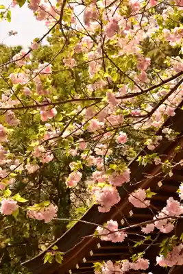 洞雲山(夏至観音)(香川県)