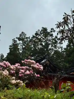金刀比羅神社(奈良県)
