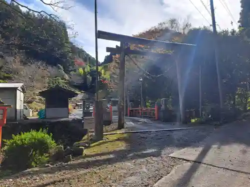 代々木神社の鳥居