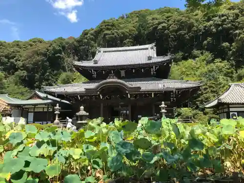 三室戸寺の景色