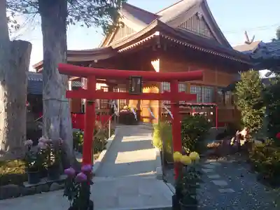於菊稲荷神社の本殿・本堂