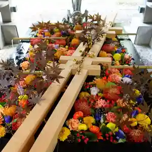 帯廣神社の手水舎(2020年09月22日(火) 17時33分24秒投稿)