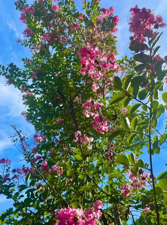 伊勢の国 四天王寺(三重県)