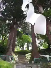 日枝神社の自然