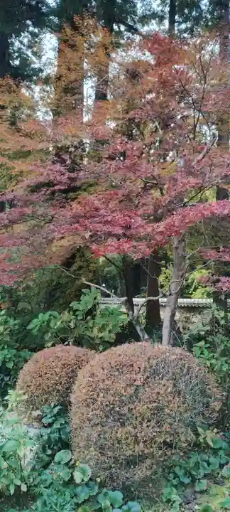 龍潭寺(静岡県)