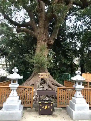 和泉國一之宮　大鳥大社(大阪府)