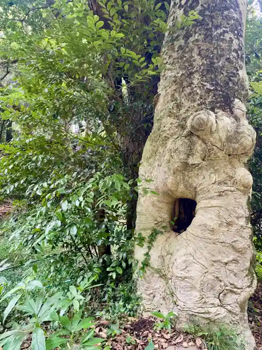 曽許乃御立神社(静岡県)