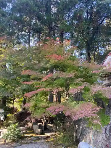 八王子神社の自然