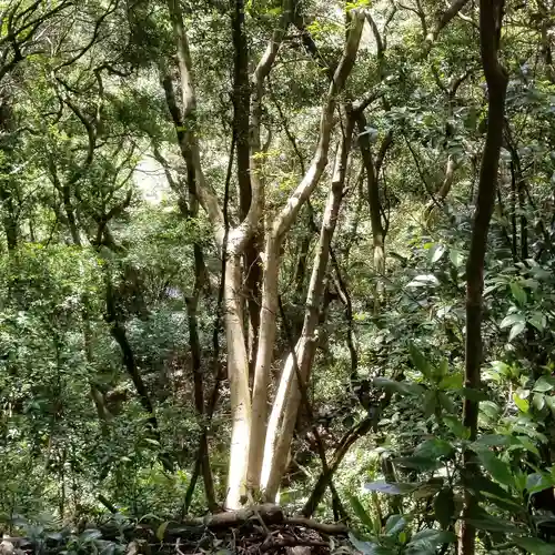 沼尾神社の自然
