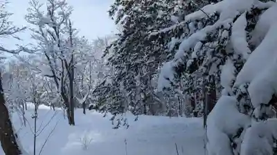 旭山稲荷金刀比羅神社の景色