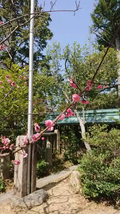 六所神社の自然